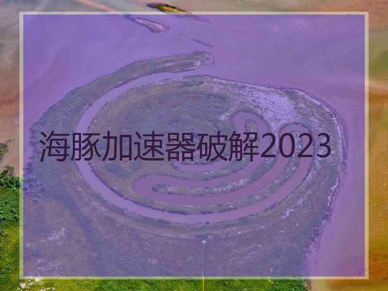 海豚加速器破解2023