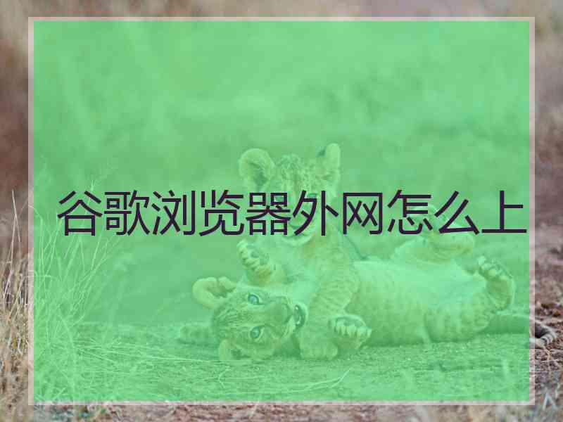 谷歌浏览器外网怎么上