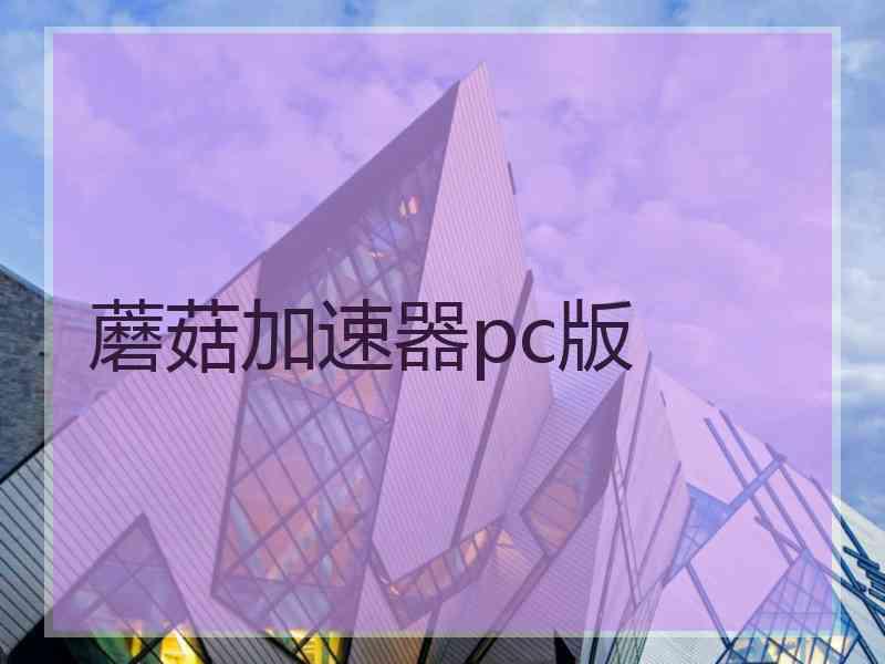 蘑菇加速器pc版