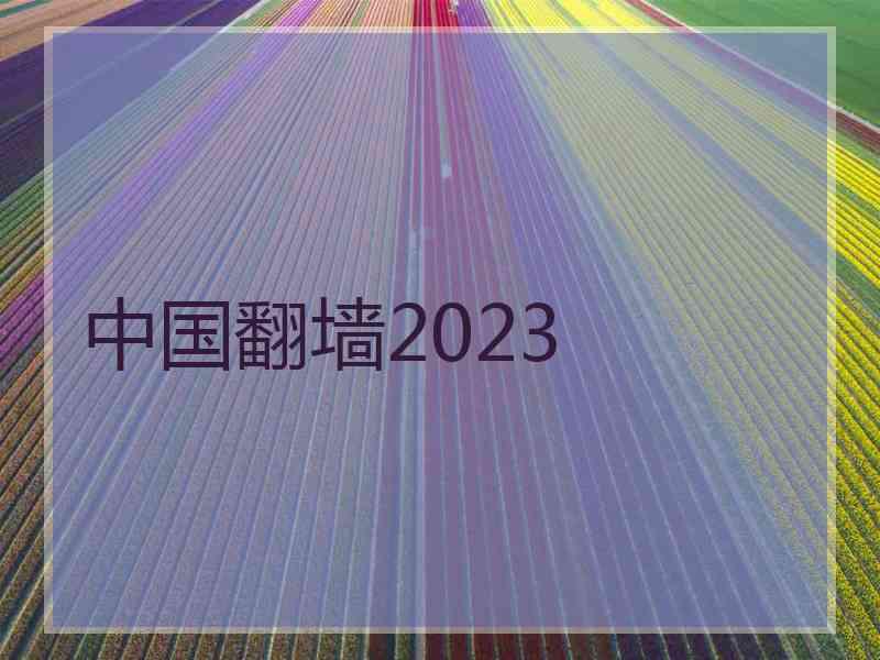 中国翻墙2023