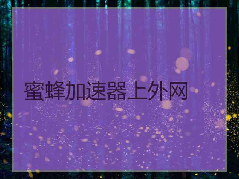 蜜蜂加速器上外网