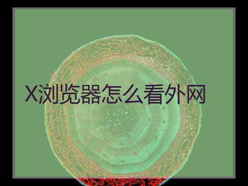X浏览器怎么看外网