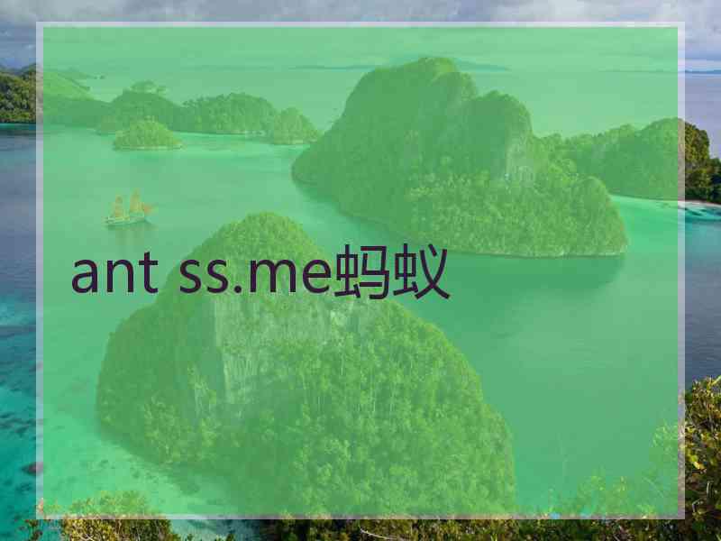 ant ss.me蚂蚁
