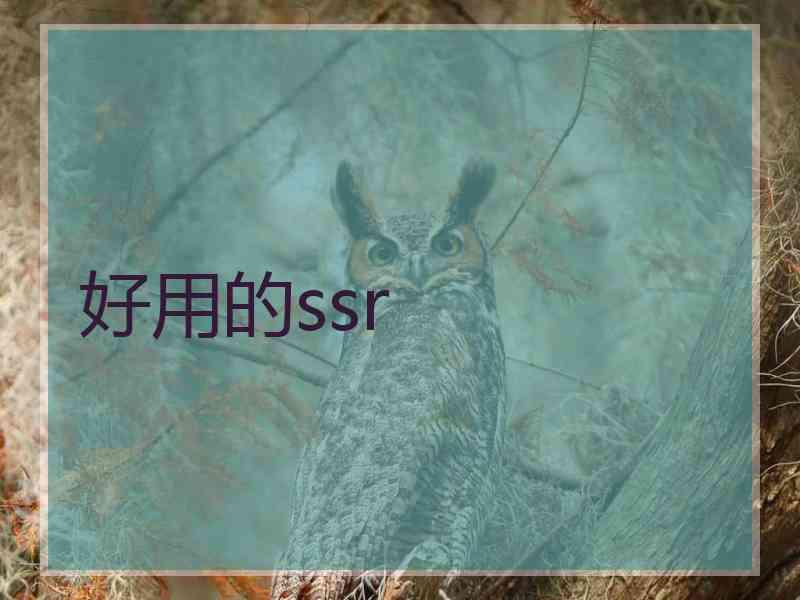 好用的ssr