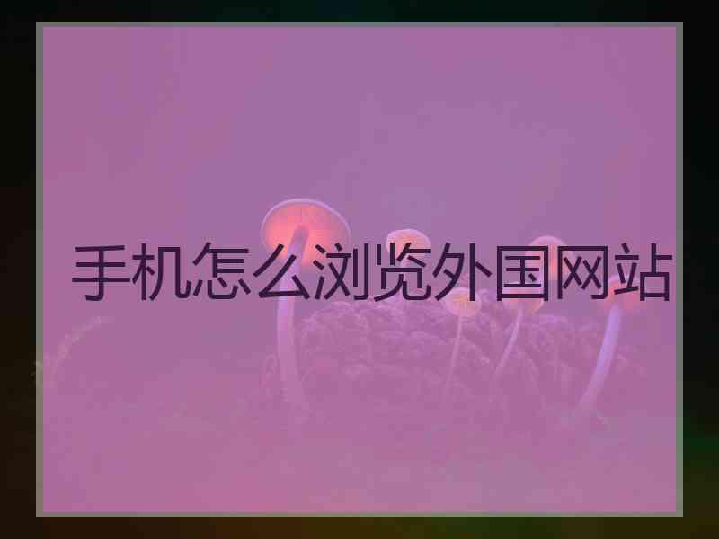 手机怎么浏览外国网站