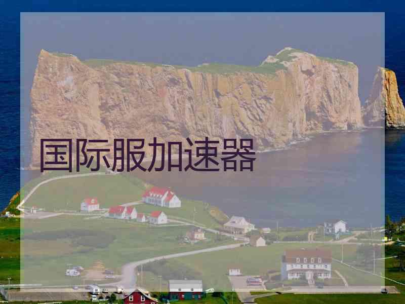 国际服加速器