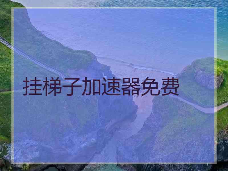 挂梯子加速器免费