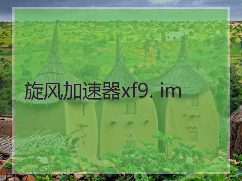 旋风加速器xf9. im