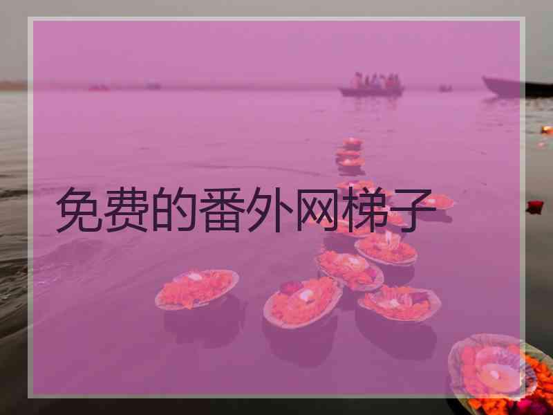 免费的番外网梯子