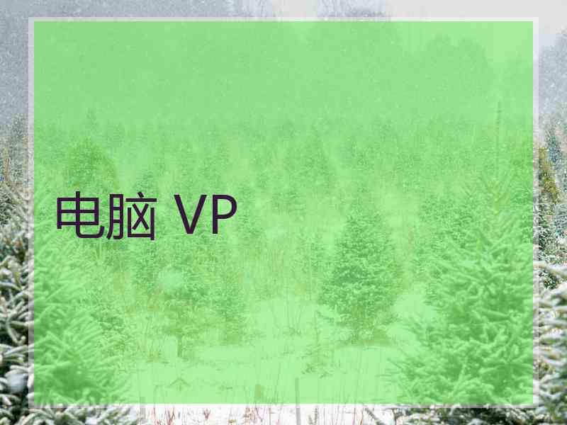 电脑 VP
