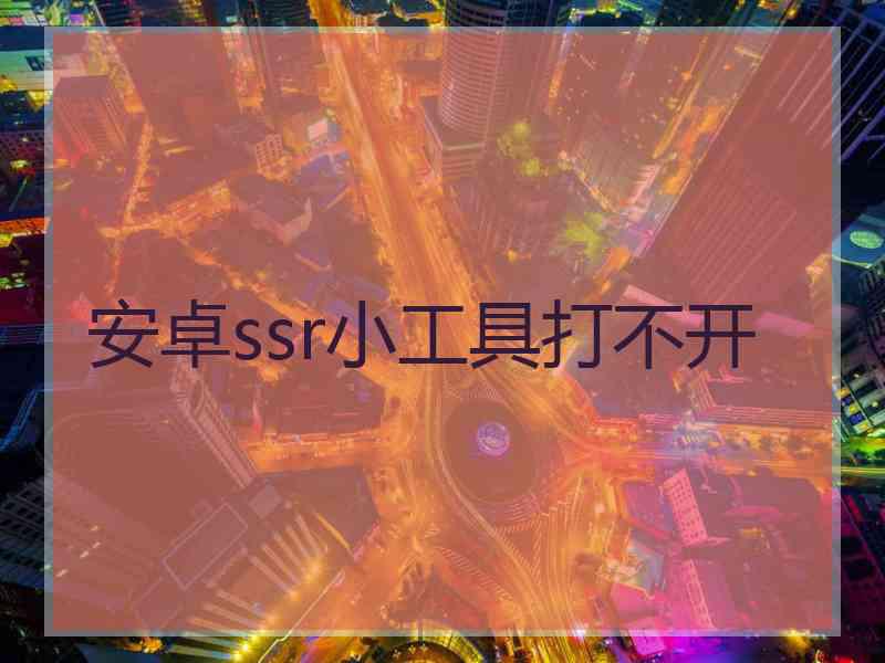 安卓ssr小工具打不开