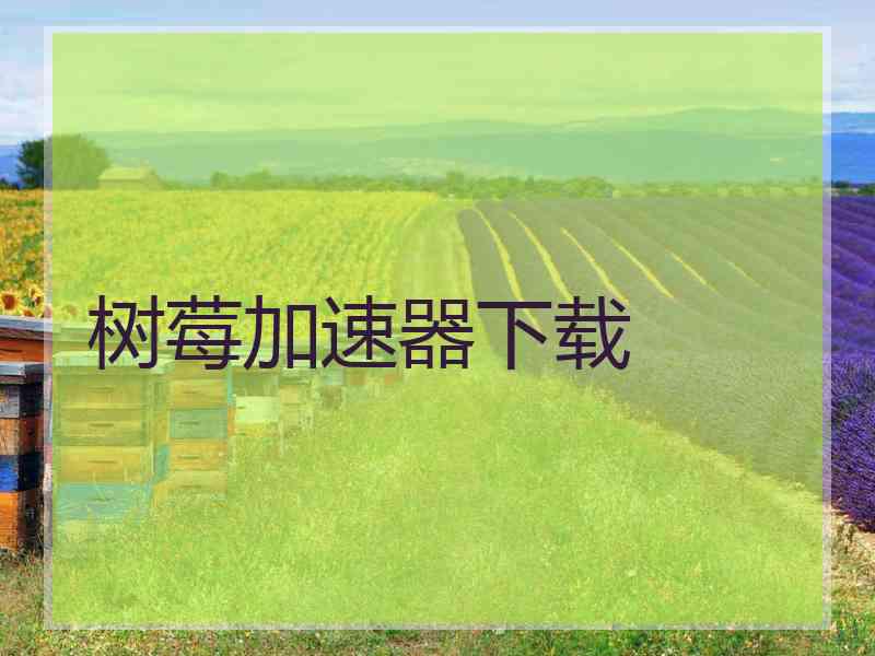 树莓加速器下载