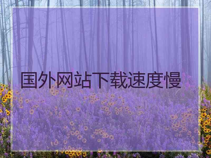 国外网站下载速度慢