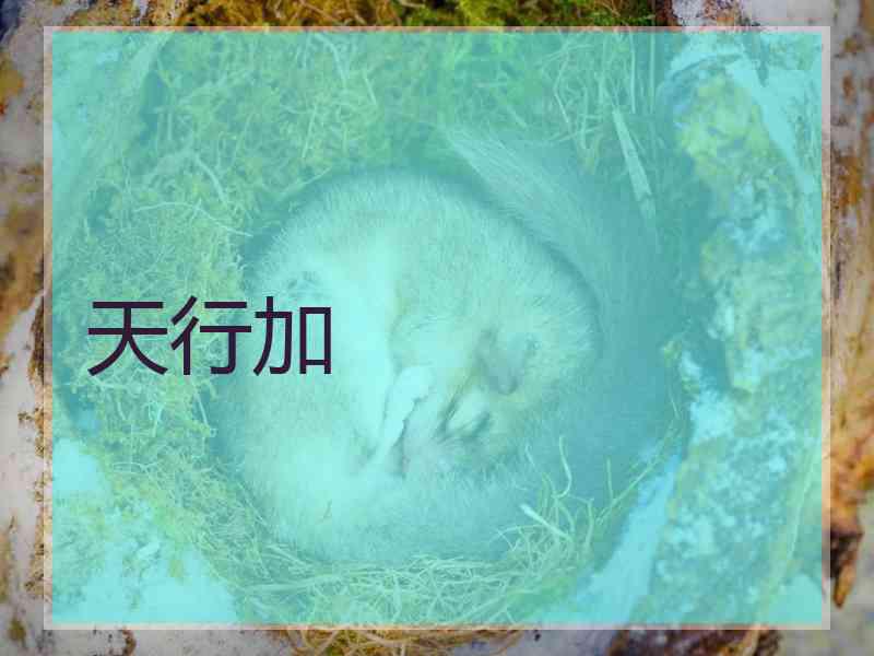 天行加