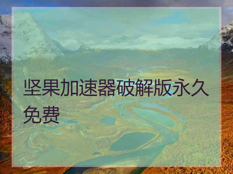 坚果加速器破解版永久免费