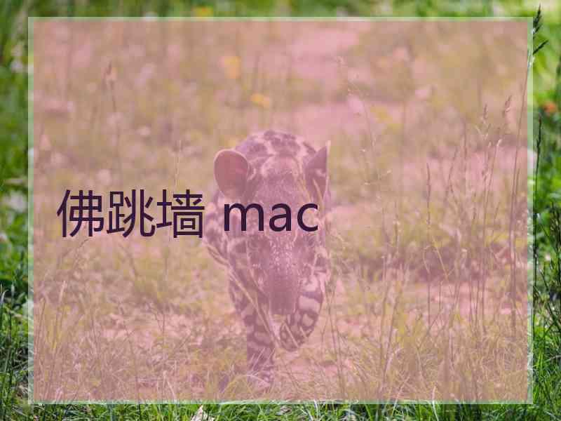 佛跳墙 mac