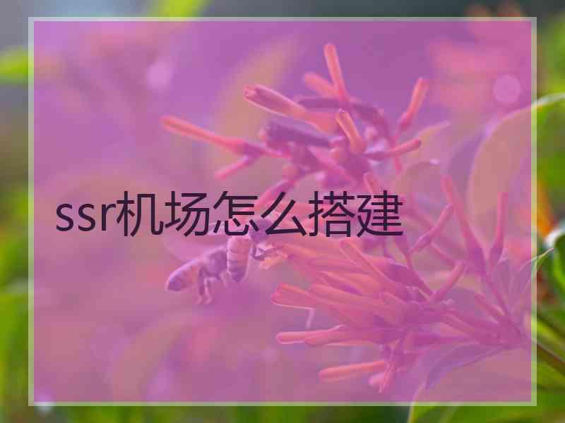 ssr机场怎么搭建