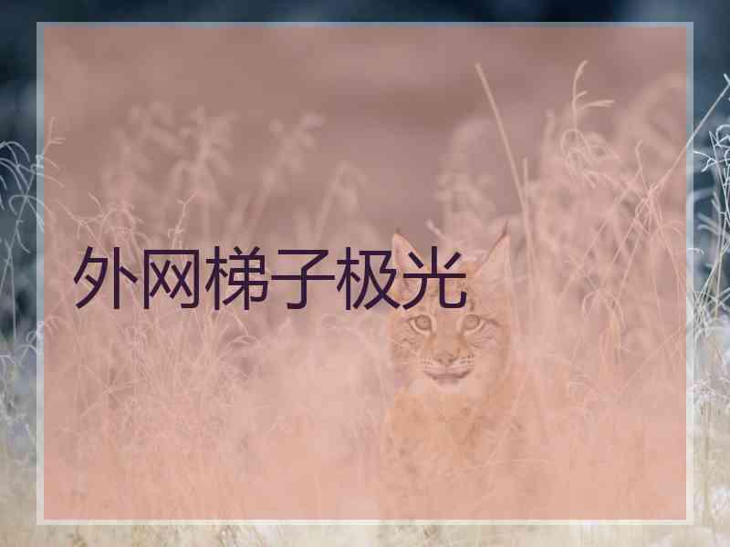 外网梯子极光