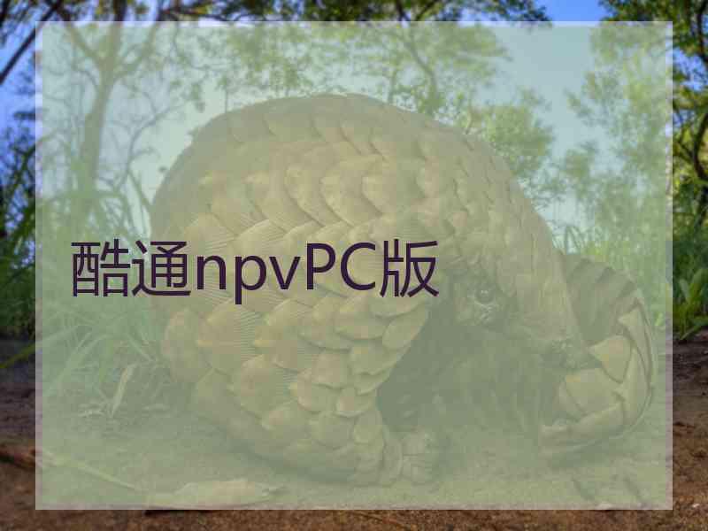 酷通npvPC版