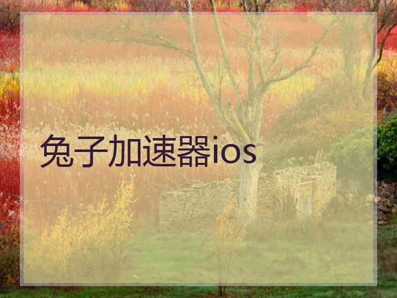 兔子加速器ios
