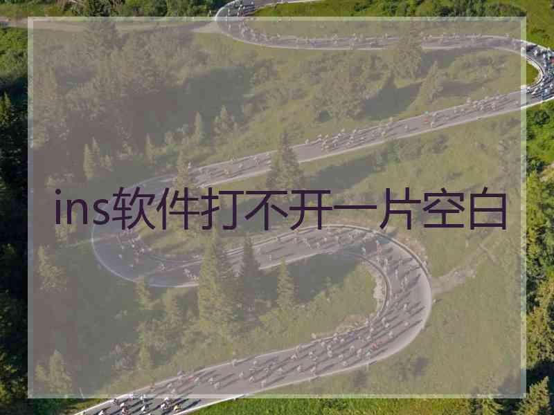 ins软件打不开一片空白