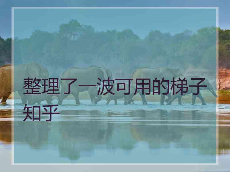 整理了一波可用的梯子知乎