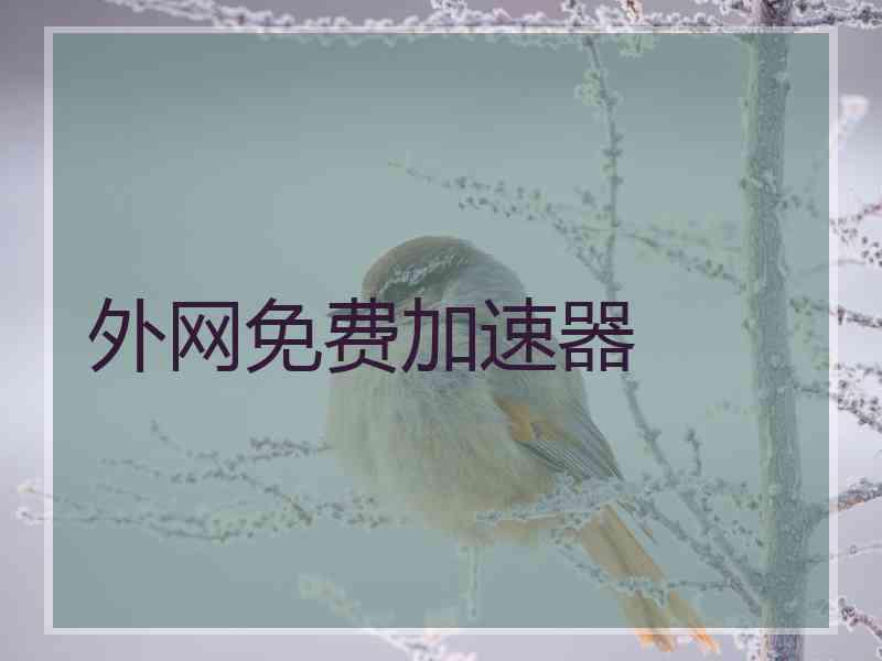 外网免费加速器