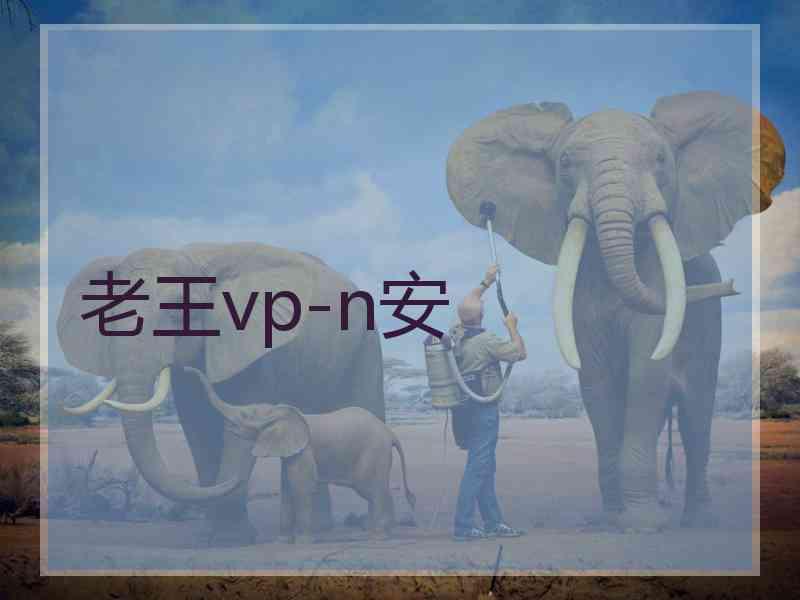 老王vp-n安