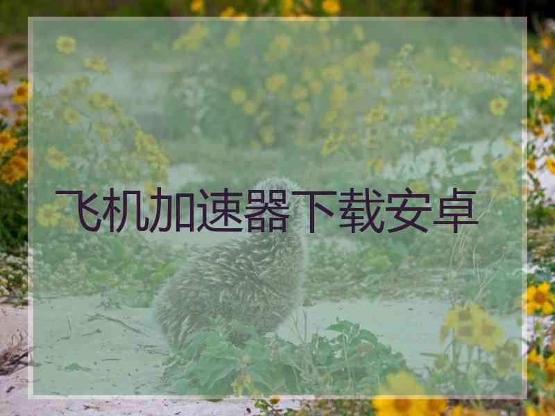 飞机加速器下载安卓