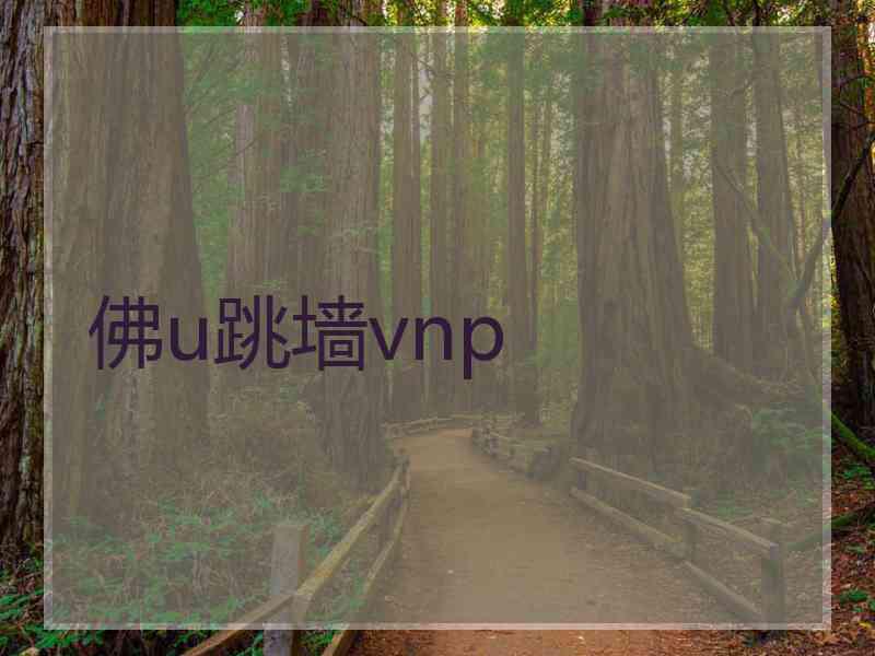 佛u跳墙vnp