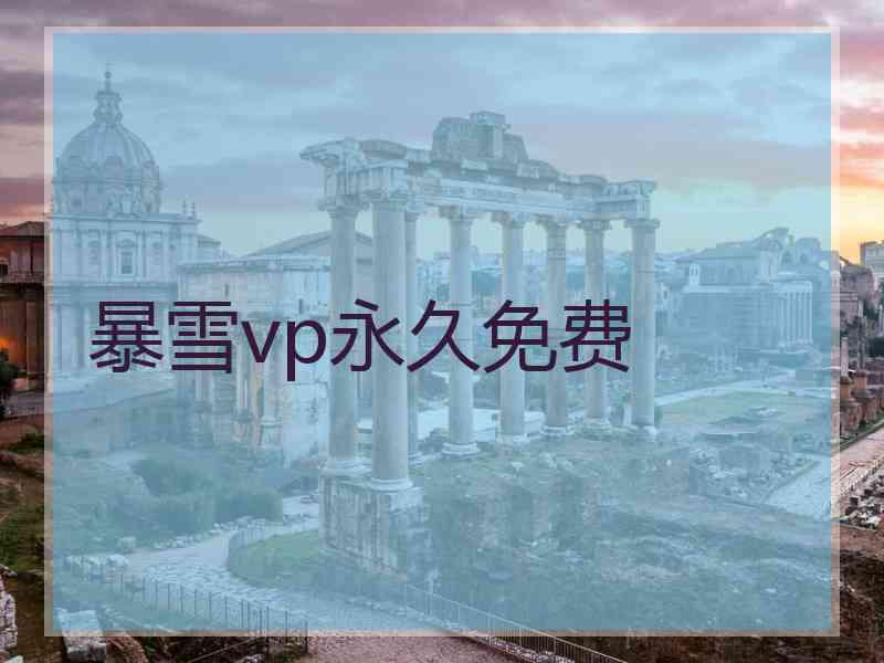 暴雪vp永久免费