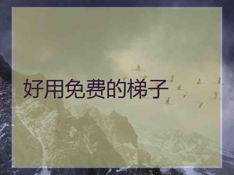 好用免费的梯子