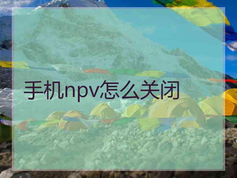 手机npv怎么关闭