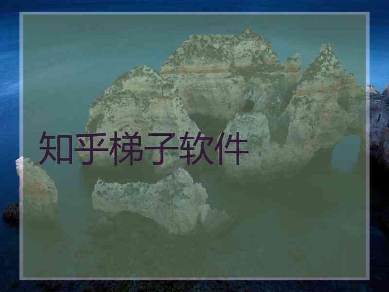 知乎梯子软件