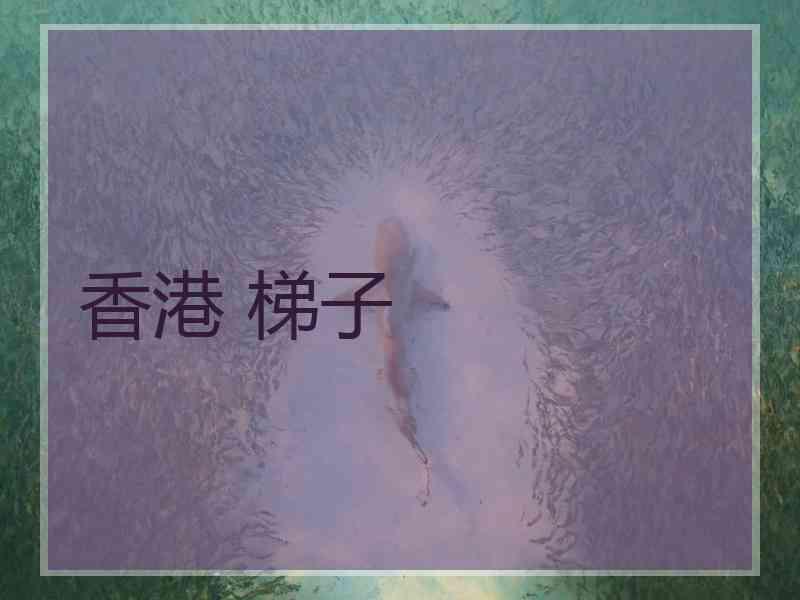 香港 梯子