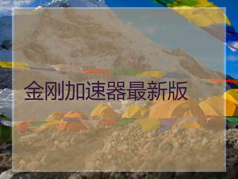金刚加速器最新版