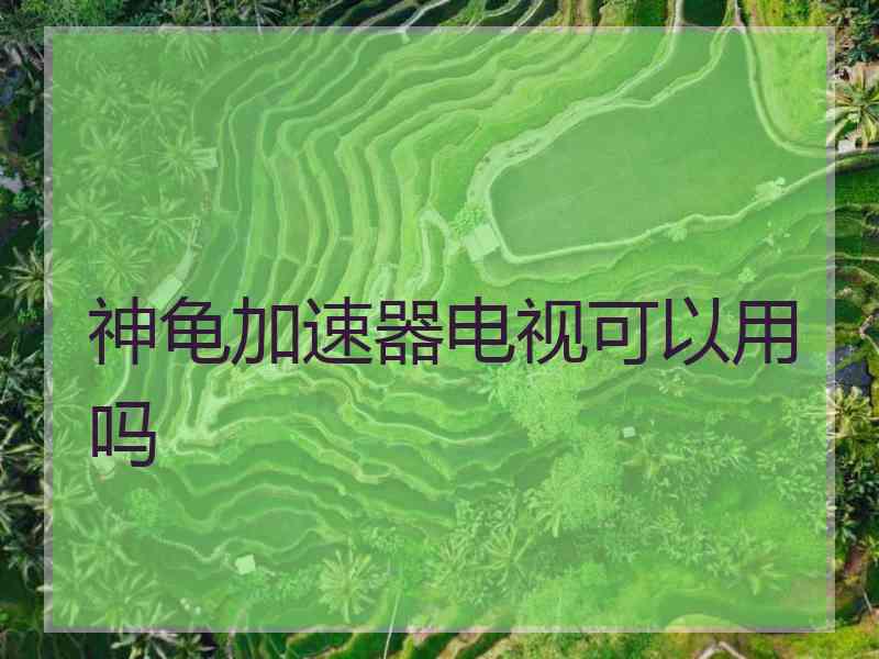 神龟加速器电视可以用吗