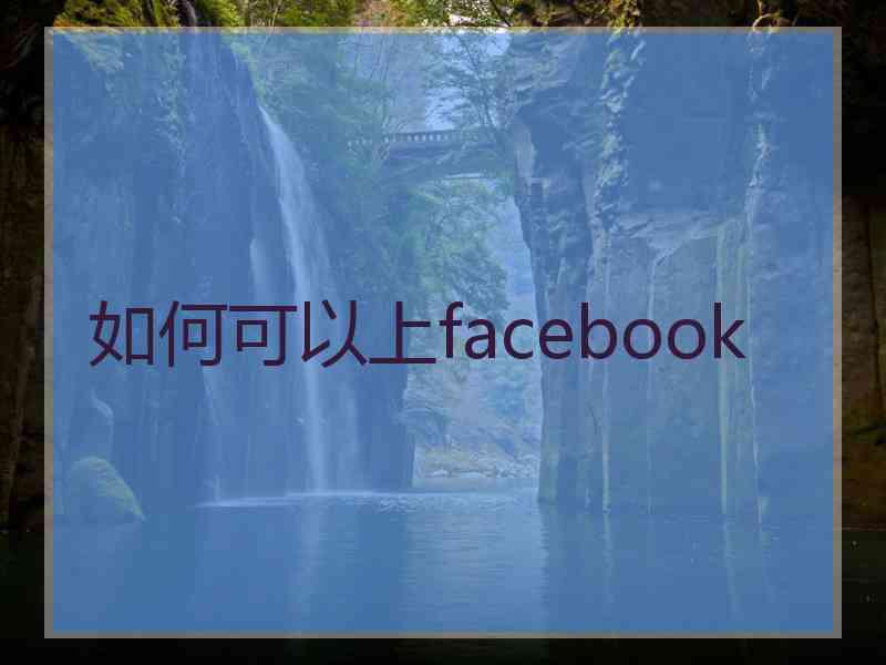 如何可以上facebook