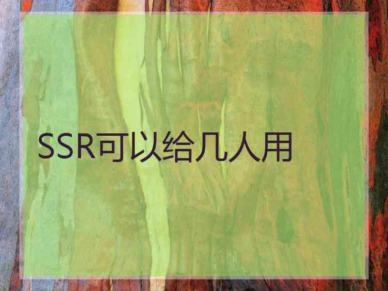 SSR可以给几人用