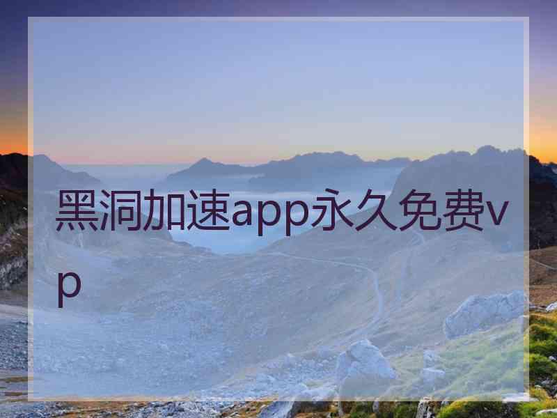 黑洞加速app永久免费vp