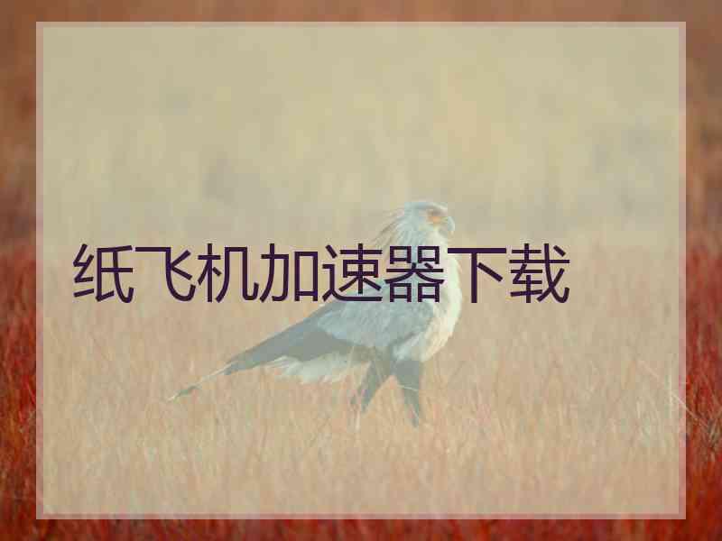 纸飞机加速器下载