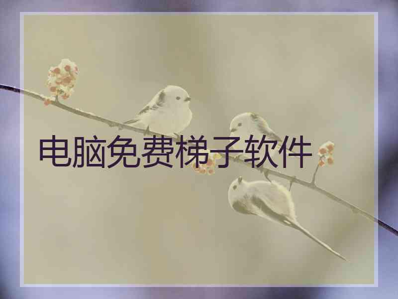 电脑免费梯子软件