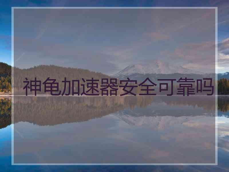神龟加速器安全可靠吗