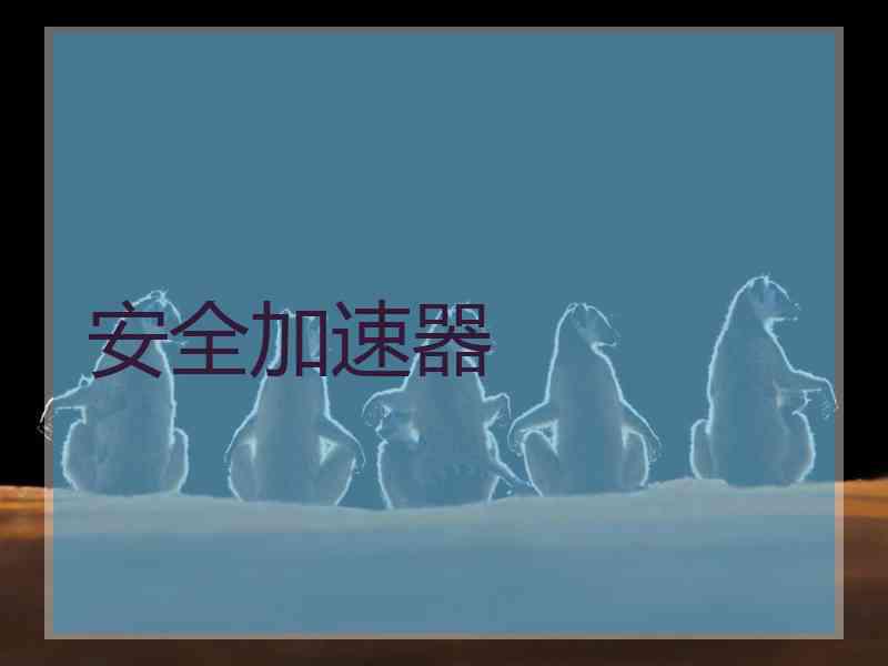 安全加速器