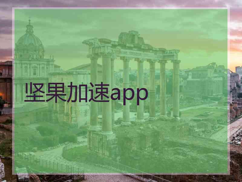 坚果加速app