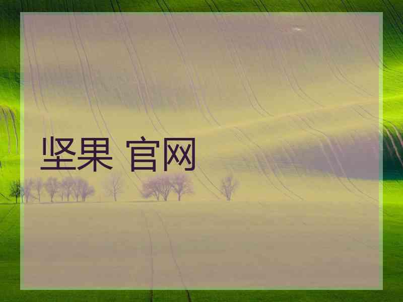 坚果 官网