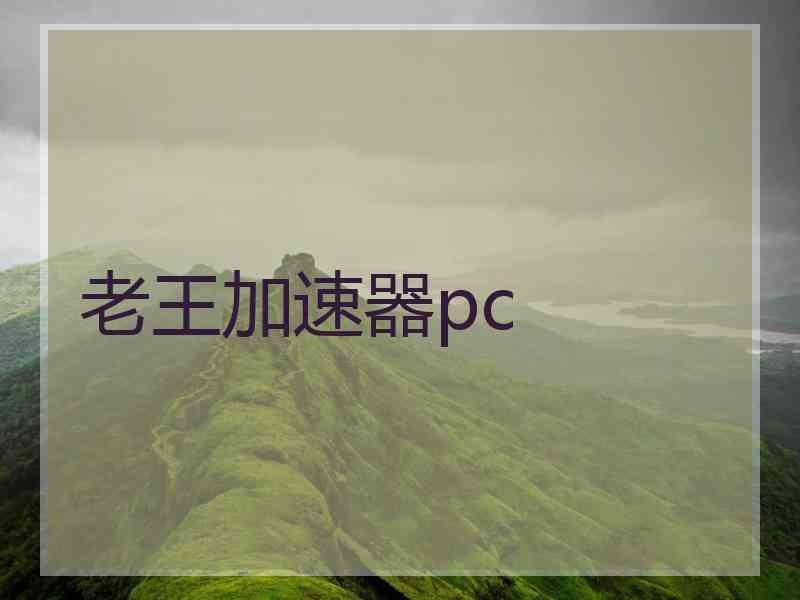 老王加速器pc