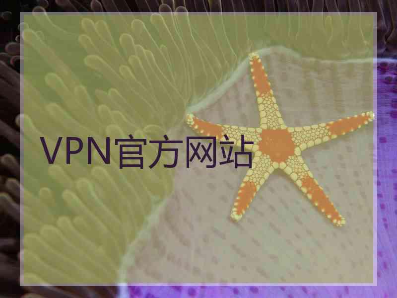 VPN官方网站