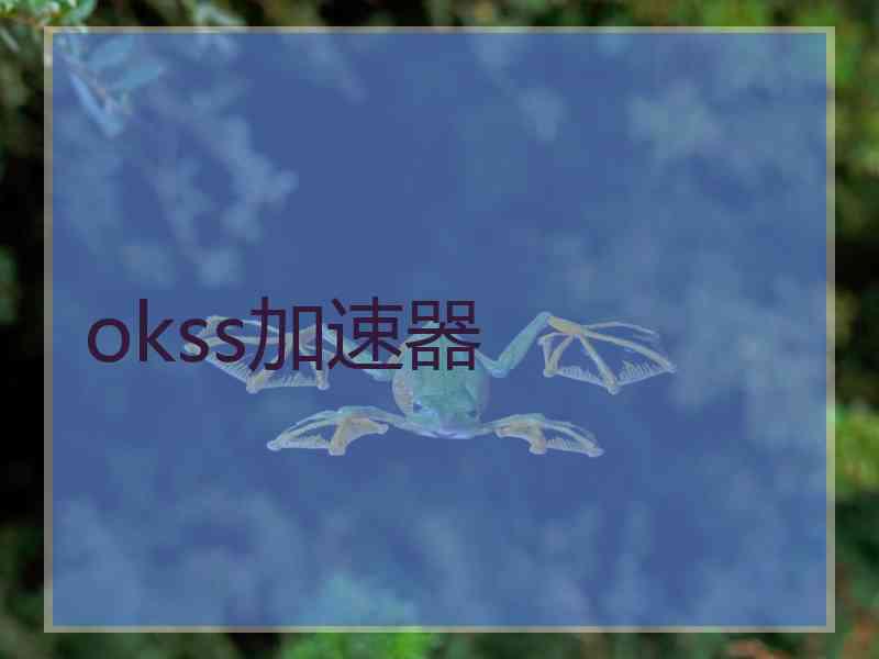 okss加速器
