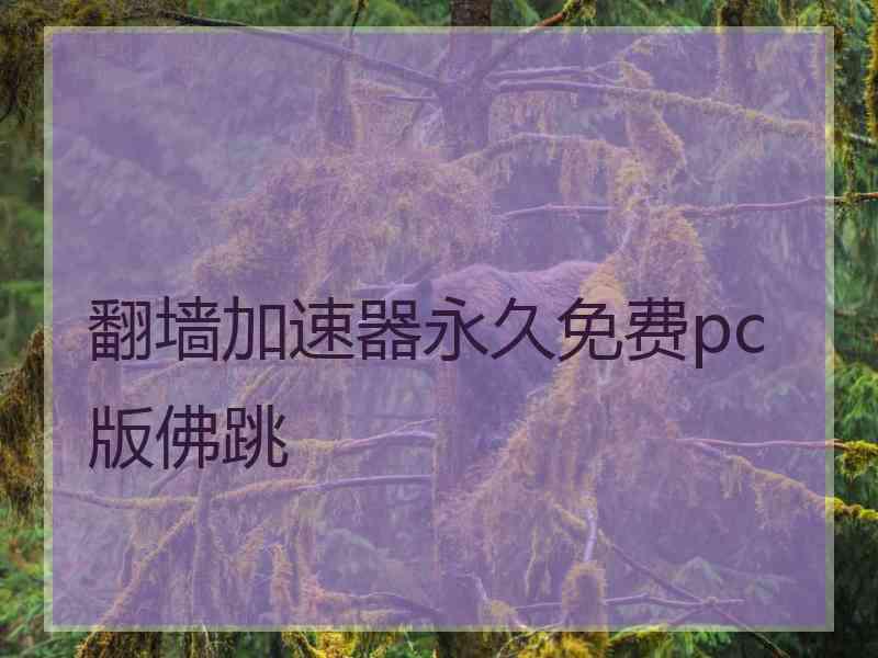 翻墙加速器永久免费pc版佛跳